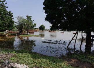نهر الدندر يرتفع فوق مستوى الفيضان ويهدد المواطنين من جديد نهر الدندر يرتفع فوق مستوى الفيضان ويهدد المواطنين من جديد