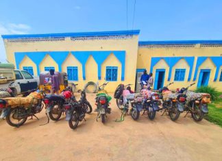 حملة ضد معتادي الإجرام بسوق تلولو وسط دارفور حملة ضد معتادي الإجرام بسوق تلولو وسط دارفور