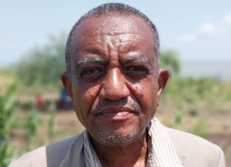 القضارف:زراعة سبعة ملايين فدان وتوقعات بإنتاج (١٨) مليون جوال ذرة القضارف:زراعة سبعة ملايين فدان وتوقعات بإنتاج (١٨) مليون جوال ذرة