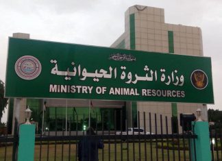 حافظ يتعهد بتوفير الأدوية ووحدة تلقيح اصطناعي لتحسين نسل الحيوان حافظ يتعهد بتوفير الأدوية ووحدة تلقيح اصطناعي لتحسين نسل الحيوان