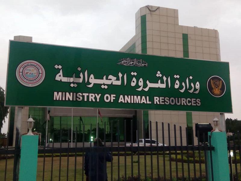 حافظ يتعهد بتوفير الأدوية ووحدة تلقيح اصطناعي لتحسين نسل الحيوان حافظ يتعهد بتوفير الأدوية ووحدة تلقيح اصطناعي لتحسين نسل الحيوان