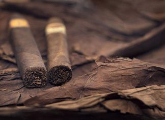 قصة وصول التبغ إلى المغرب  وتحريمه من قبل رجال الدين قصة وصول التبغ إلى المغرب وتحريمه من قبل رجال الدين