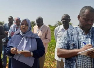 بعثة ايفاد لتطويرالزراعة تقف علي انشطةالمجتمعات المستهدفةبشمال كردفان بعثة ايفاد لتطويرالزراعة تقف علي انشطةالمجتمعات المستهدفةبشمال كردفان