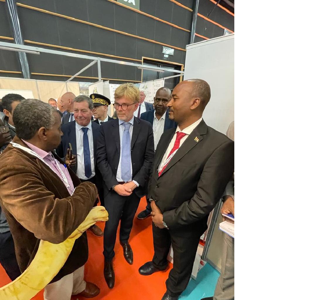 تعزير التعاون بين السودان وفرنسا في مجال الثروة الحيوانية