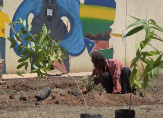 شراكة بين إعلاميون من أجل البيئة و كلية علوم الإتصال شراكة بين إعلاميون من أجل البيئة و كلية علوم الإتصال