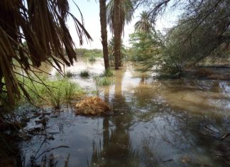 مبادرة لدرء آثار كوارث السيول والفيضانات بالشمالية مبادرة لدرء آثار كوارث السيول والفيضانات بالشمالية