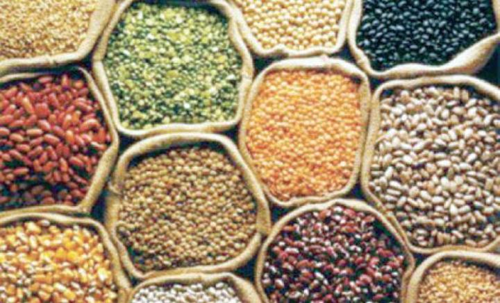 الفاو:توقعات بتراجع إنتاج الحبوب في عام 2022