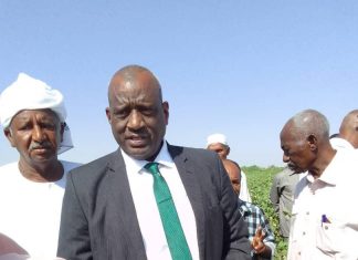 شركة السودان للأقطان تكمل استعدادتها لحصاد 42ألف فدان قطن شركة السودان للأقطان تكمل استعدادتها لحصاد 42ألف فدان قطن