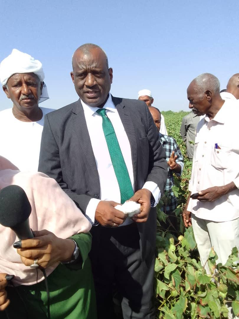 شركة السودان للأقطان تكمل استعدادتها لحصاد 42ألف فدان قطن شركة السودان للأقطان تكمل استعدادتها لحصاد 42ألف فدان قطن