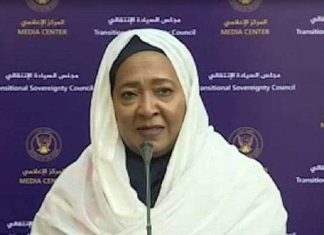 بدء العمل في استزارع نجيل ملعب المدينة الرياضية بدء العمل في استزارع نجيل ملعب المدينة الرياضية