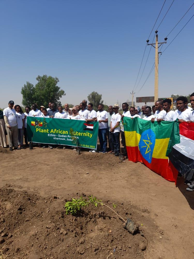 تدشين مبادرة سفارة أثيوبيا لدرء ومكافحة التصحر بالسودان تدشين مبادرة سفارة أثيوبيا لدرء ومكافحة التصحر بالسودان