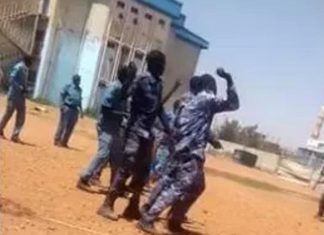 تخريج عناصر من الشرطة السودانية دربتهم تركيا تخريج عناصر من الشرطة السودانية دربتهم تركيا