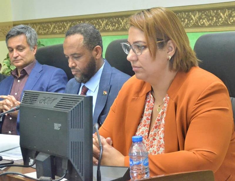 وزير الصحة الاتحادي يؤكد التزام السودان بتقديم العون للأمهات والأطفال