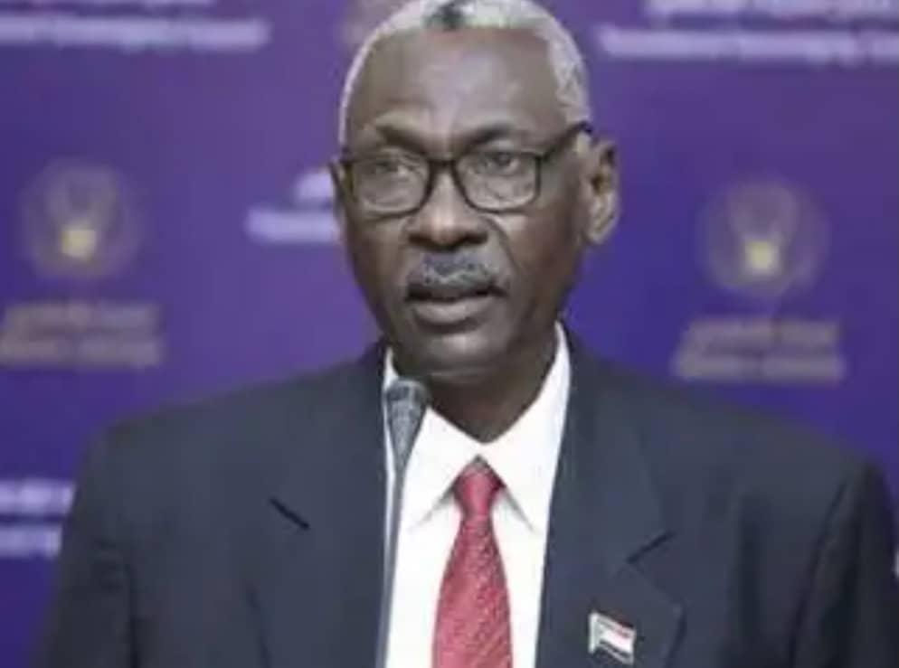 وزير الدفاع يؤكد تعاون السودان التام مع بعثة 