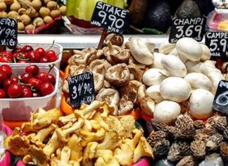 الأمانة الفنية للغذاء بالسودان: الجزيرة مؤهلة لتحقيق الأمن الغذائي الأمانة الفنية للغذاء بالسودان: الجزيرة مؤهلة لتحقيق الأمن الغذائي