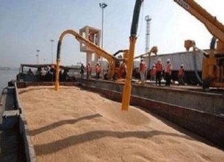دولة خليجية تمنح السودان شحنة قمح دولة خليجية تمنح السودان شحنة قمح
