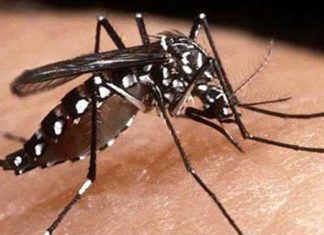 مدير مستشفى الأبيض يعلن حالة الطوارئ ويكشف عن اوضاع مأساوية بسبب تفشي حمى الضنك ويحذر من حمى نزفية وخروج الوضع عن السيطرة مدير مستشفى الأبيض يعلن حالة الطوارئ ويكشف عن اوضاع مأساوية بسبب تفشي حمى الضنك ويحذر من حمى نزفية وخروج الوضع عن السيطرة