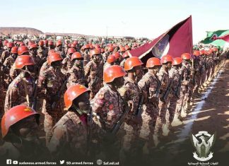 البرهان يحذر من التدخل في شؤون القوات المسلحة البرهان يحذر من التدخل في شؤون القوات المسلحة