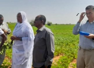 الزراعة تحوز على أعلى تمويل مصرفي داخلي الزراعة تحوز على أعلى تمويل مصرفي داخلي