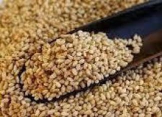 بمشاركة 150 شركة اجنبية انطلاق مؤتمر الحبوب الزيتية بمشاركة 150 شركة اجنبية انطلاق مؤتمر الحبوب الزيتية