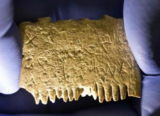 اكتشاف نقش كنعاني نادر على مشط عاجي قديم اكتشاف نقش كنعاني نادر على مشط عاجي قديم