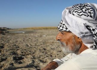 كيف يؤثر تغير المناخ على غذاء العالم؟! كيف يؤثر تغير المناخ على غذاء العالم؟!