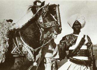 من ينادي السلطان علي دينار؟ من ينادي السلطان علي دينار؟