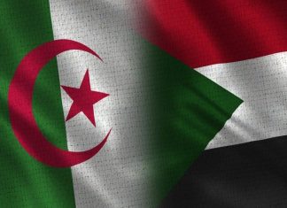 ما هي دلالات وأهداف التقارب بين الجزائر والسودان؟ ما هي دلالات وأهداف التقارب بين الجزائر والسودان؟