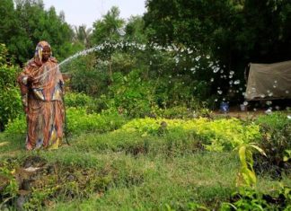 الإمارات تقتنص مشروعاً زراعياً عملاقاً في السودان الإمارات تقتنص مشروعاً زراعياً عملاقاً في السودان