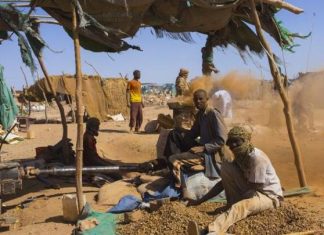 ضَهَب ضَهَب