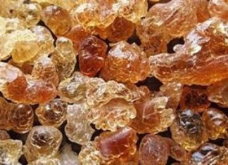 إجتماع مجلس الصمغ العربي يناقش عدداً من القضايا إجتماع مجلس الصمغ العربي يناقش عدداً من القضايا
