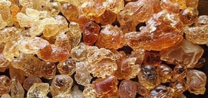 إجتماع مجلس الصمغ العربي يناقش عدداً من القضايا إجتماع مجلس الصمغ العربي يناقش عدداً من القضايا