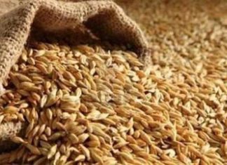 توقعات بتحقيق ربط مقدر لزكاة الزروع بأم كدادة توقعات بتحقيق ربط مقدر لزكاة الزروع بأم كدادة
