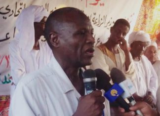جاسر:مشروع الجزيرة مؤهل لتوفير 50%من إحتياجات السودان من القمح جاسر:مشروع الجزيرة مؤهل لتوفير 50%من إحتياجات السودان من القمح