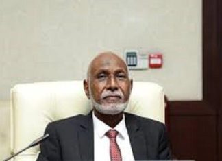نائب حاكم دارفور: العنف ضد المرأة يجب ان يتوقف نائب حاكم دارفور: العنف ضد المرأة يجب ان يتوقف