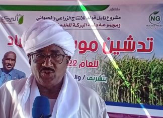 والي سنار المكلف يشهد عمليات حصاد المشاريع المروية والي سنار المكلف يشهد عمليات حصاد المشاريع المروية