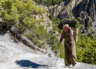 ما هو الشيلاجيت وما فوائده؟ ما هو الشيلاجيت وما فوائده؟