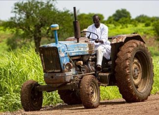 عقبات اقتصادية وسياسية.. مزارعو السودان أمام شتاء صعب عقبات اقتصادية وسياسية.. مزارعو السودان أمام شتاء صعب