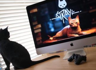 “ستراي” أفضل لعبة مستقلة في “غيم أووردز” "ستراي" أفضل لعبة مستقلة في "غيم أووردز"