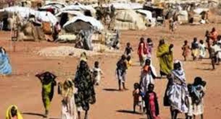 المنسقية: انتهاكات شرق نيالا ترقى لجرائم الإبادة والتطهير العرقي المنسقية: انتهاكات شرق نيالا ترقى لجرائم الإبادة والتطهير العرقي