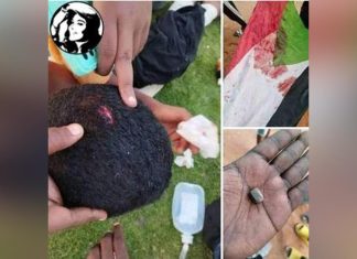 النائب العام يكلف بالتحقيق في استخدام الشرطة لـ«الأوبلن» في الاحتجاجات النائب العام يكلف بالتحقيق في استخدام الشرطة لـ«الأوبلن» في الاحتجاجات