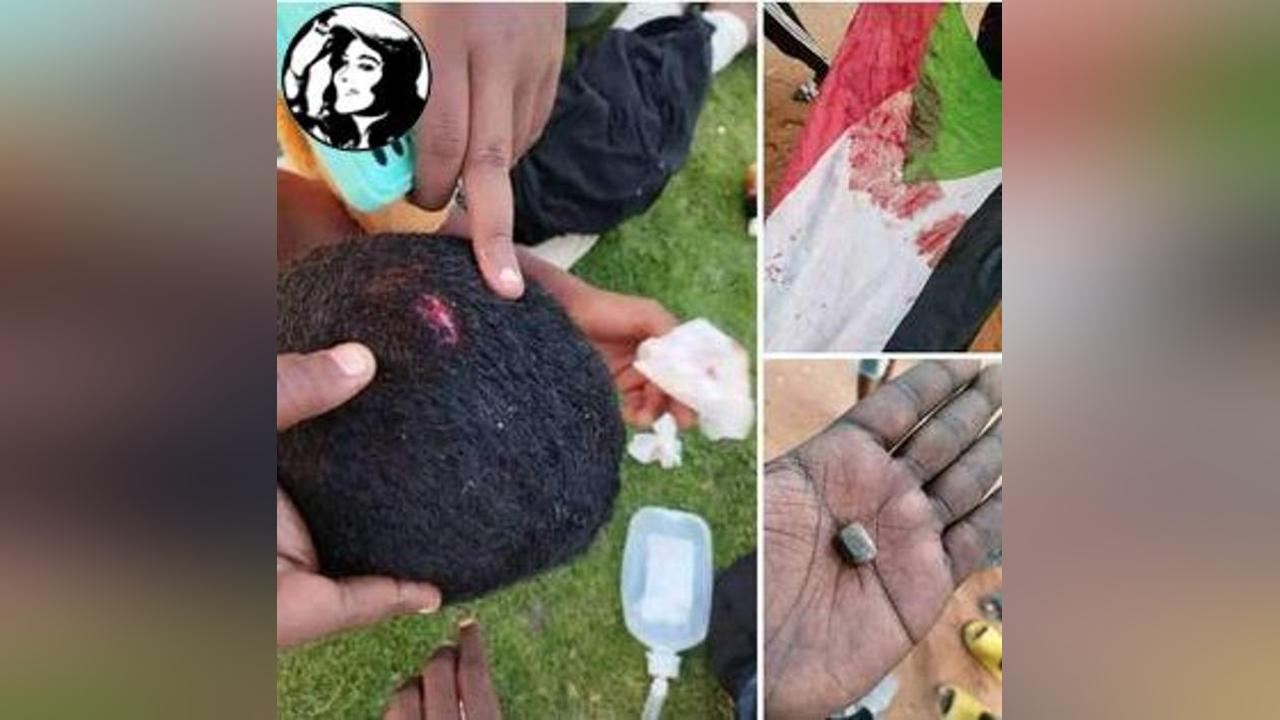 النائب العام يكلف بالتحقيق في استخدام الشرطة لـ«الأوبلن» في الاحتجاجات النائب العام يكلف بالتحقيق في استخدام الشرطة لـ«الأوبلن» في الاحتجاجات