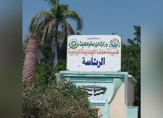 وفد من الزراعة الاتحادية يتفقد زراعة القطن الصيني بحلفا الجديدة وفد من الزراعة الاتحادية يتفقد زراعة القطن الصيني بحلفا الجديدة