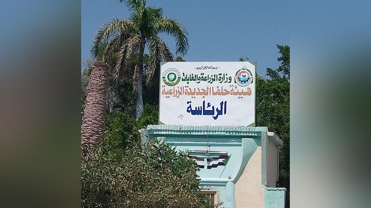 وفد من الزراعة الاتحادية يتفقد زراعة القطن الصيني بحلفا الجديدة وفد من الزراعة الاتحادية يتفقد زراعة القطن الصيني بحلفا الجديدة