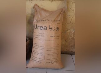 الزراعة بالخرطوم تؤكد الاهتمام بتوفر سماد يوريا للمزارعين الزراعة بالخرطوم تؤكد الاهتمام بتوفر سماد يوريا للمزارعين
