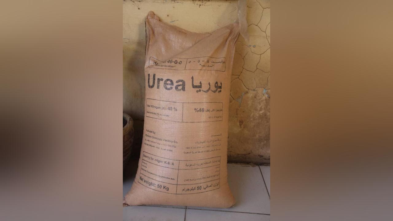 الزراعة بالخرطوم تؤكد الاهتمام بتوفر سماد يوريا للمزارعين الزراعة بالخرطوم تؤكد الاهتمام بتوفر سماد يوريا للمزارعين