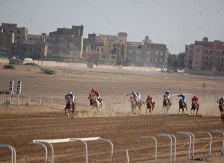 نادي سباق الخيل الخرطوم ينظم سباق رأس السنة نادي سباق الخيل الخرطوم ينظم سباق رأس السنة