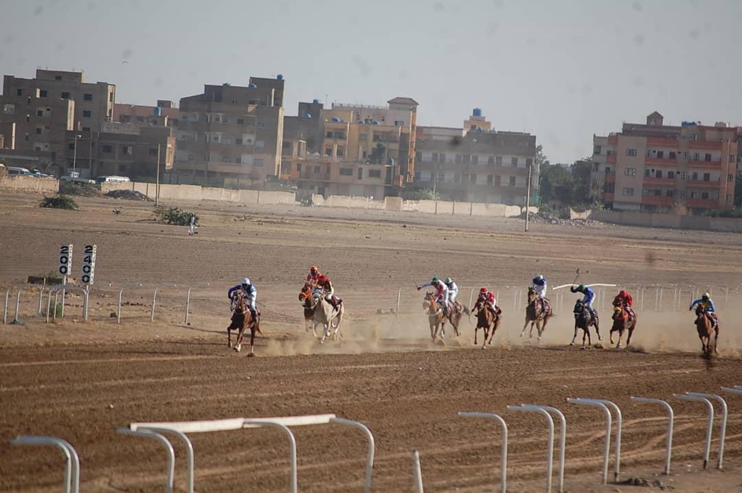 نادي سباق الخيل الخرطوم ينظم سباق رأس السنة نادي سباق الخيل الخرطوم ينظم سباق رأس السنة