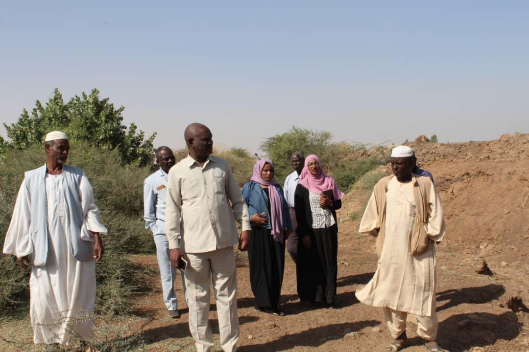 مدير الزراعة بالخرطوم يتفقد مشروع الجموعية الزراعي بمحلية امدرمان مدير الزراعة بالخرطوم يتفقد مشروع الجموعية الزراعي بمحلية امدرمان