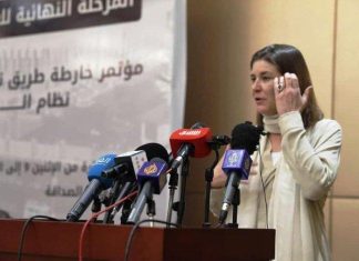 غريتا فينر: التفكيك قد يستمر لسنوات واسترداد الأصول يحتاج الصبر غريتا فينر: التفكيك قد يستمر لسنوات واسترداد الأصول يحتاج الصبر